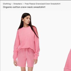 Aritzia sweatshirt